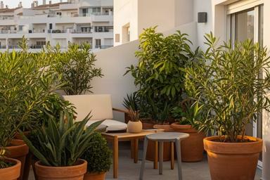 Patio de apartamento en la Costa del Sol con macetas resistentes y composición de plantas de bajo mantenimiento